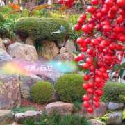 ヒメ日記 2025/12/07 09:00 投稿 美崎-みさき- ミセスまーと