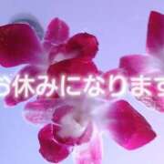 ヒメ日記 2026/02/12 09:40 投稿 美崎-みさき- ミセスまーと