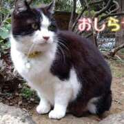 ヒメ日記 2026/03/04 09:00 投稿 美崎-みさき- ミセスまーと