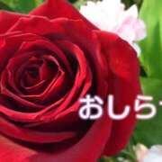 ヒメ日記 2026/04/14 09:40 投稿 美崎-みさき- ミセスまーと