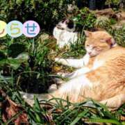 ヒメ日記 2026/04/20 12:43 投稿 美崎-みさき- ミセスまーと