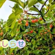 ヒメ日記 2026/04/27 09:20 投稿 美崎-みさき- ミセスまーと