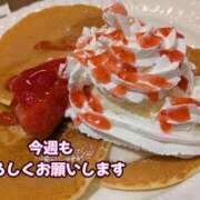ヒメ日記 2026/06/15 09:08 投稿 美崎-みさき- ミセスまーと