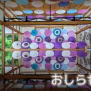 ヒメ日記 2026/07/08 06:34 投稿 美崎-みさき- ミセスまーと