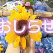 ヒメ日記 2026/07/20 12:08 投稿 美崎-みさき- ミセスまーと