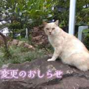 美崎-みさき- ２９日土曜日はお休み ミセスまーと