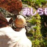 ヒメ日記 2026/10/07 19:42 投稿 美崎-みさき- ミセスまーと