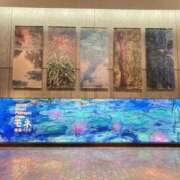 ヒメ日記 2024/12/27 18:03 投稿 せな ハピネス東京