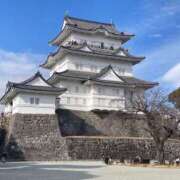 ヒメ日記 2025/01/19 23:44 投稿 せな ハピネス東京