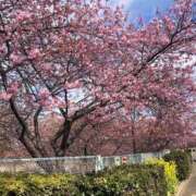 ヒメ日記 2025/02/20 21:38 投稿 せな ハピネス東京