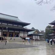 ヒメ日記 2025/03/17 21:48 投稿 せな ハピネス東京