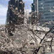 ヒメ日記 2025/03/30 05:47 投稿 せな ハピネス東京