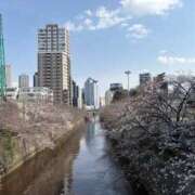 ヒメ日記 2025/04/01 00:09 投稿 せな ハピネス東京