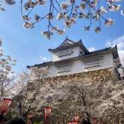 ヒメ日記 2025/04/06 20:43 投稿 せな ハピネス東京