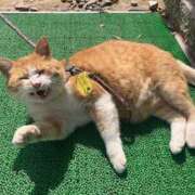 ヒメ日記 2025/04/15 00:47 投稿 せな ハピネス東京