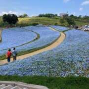 ヒメ日記 2025/04/30 17:11 投稿 せな ハピネス東京