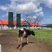 ヒメ日記 2025/05/02 18:10 投稿 せな ハピネス東京