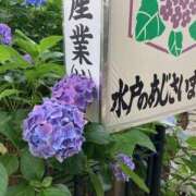 ヒメ日記 2025/06/30 23:17 投稿 せな ハピネス東京