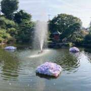 ヒメ日記 2025/07/01 17:27 投稿 せな ハピネス東京