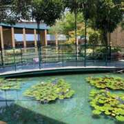 ヒメ日記 2025/08/24 05:58 投稿 せな ハピネス東京