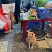 ヒメ日記 2025/09/19 17:31 投稿 せな ハピネス東京