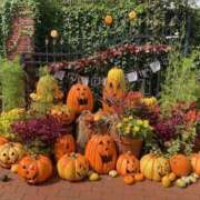 ヒメ日記 2025/10/12 05:50 投稿 せな ハピネス東京