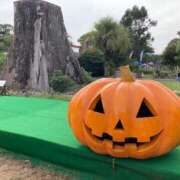 ヒメ日記 2025/10/15 17:47 投稿 せな ハピネス東京