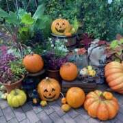 ヒメ日記 2025/10/19 05:50 投稿 せな ハピネス東京