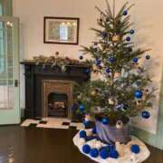 ヒメ日記 2025/12/19 18:12 投稿 せな ハピネス東京