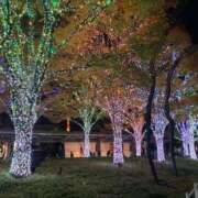 ヒメ日記 2025/12/31 05:47 投稿 せな ハピネス東京