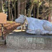 ヒメ日記 2026/01/05 21:17 投稿 せな ハピネス東京