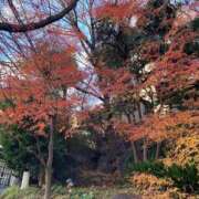 ヒメ日記 2026/01/16 18:07 投稿 せな ハピネス東京