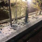 ヒメ日記 2026/02/08 05:47 投稿 せな ハピネス東京