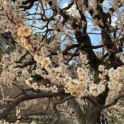 せな 昨日☆ ハピネス東京