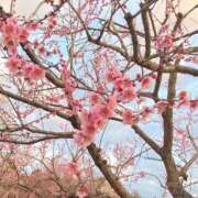 せな 来月前半の予定☆ ハピネス東京