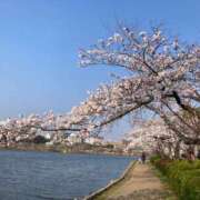 ヒメ日記 2026/03/30 21:17 投稿 せな ハピネス東京