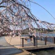 ヒメ日記 2026/04/03 18:27 投稿 せな ハピネス東京