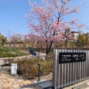 ヒメ日記 2026/04/04 23:17 投稿 せな ハピネス東京