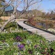 ヒメ日記 2026/04/05 21:27 投稿 せな ハピネス東京