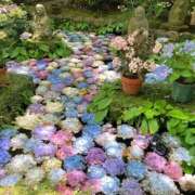 ヒメ日記 2026/06/24 17:47 投稿 せな ハピネス東京