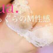 ヒメ日記 2026/02/13 12:21 投稿 ゆあ クンニM性感　御奉仕ボーイズ　西日暮里店