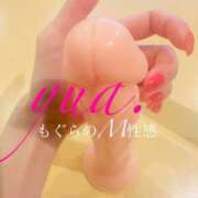 ヒメ日記 2026/03/20 14:21 投稿 ゆあ クンニM性感　御奉仕ボーイズ　西日暮里店