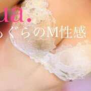 ヒメ日記 2026/02/13 12:22 投稿 ゆあ 前立腺マッサージ専門 もぐらのM性感