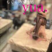 ヒメ日記 2026/03/02 14:32 投稿 ゆあ 前立腺マッサージ専門 もぐらのM性感