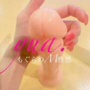 ヒメ日記 2026/03/20 14:32 投稿 ゆあ 前立腺マッサージ専門 もぐらのM性感