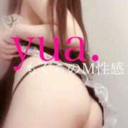 ヒメ日記 2026/04/12 18:12 投稿 ゆあ 前立腺マッサージ専門 もぐらのM性感