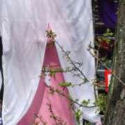 ヒメ日記 2025/04/06 14:03 投稿 なつき 池袋風俗　池袋いきなりビンビン伝説