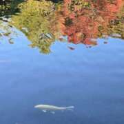 ヒメ日記 2024/12/14 09:40 投稿 じゅんこ あけみ