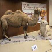 ヒメ日記 2025/02/01 13:55 投稿 じゅんこ あけみ