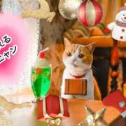 ヒメ日記 2024/12/20 20:32 投稿 ゆうこ あけみ